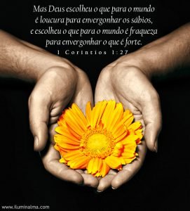 1 Coríntios 1:27